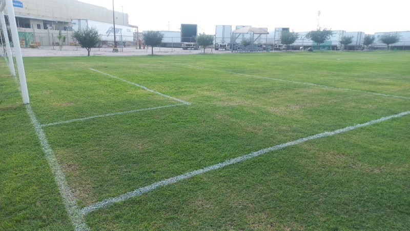 Evidencia Canchas 2