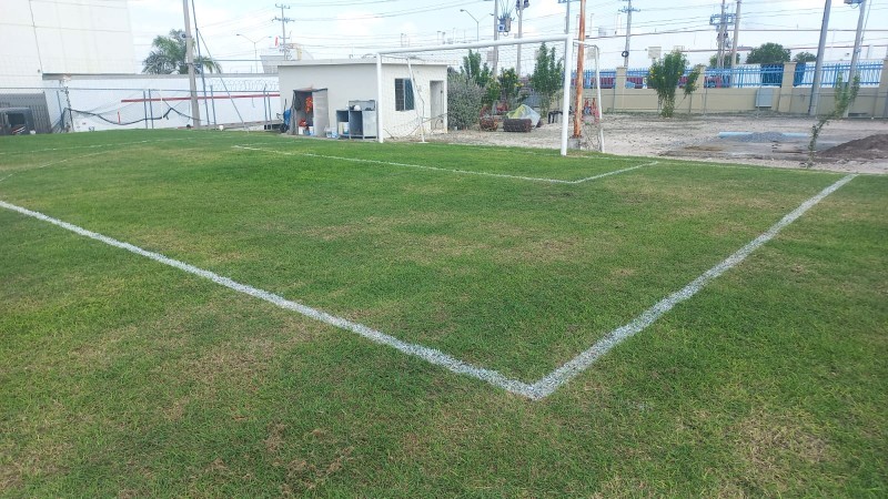 Evidencia Canchas 4