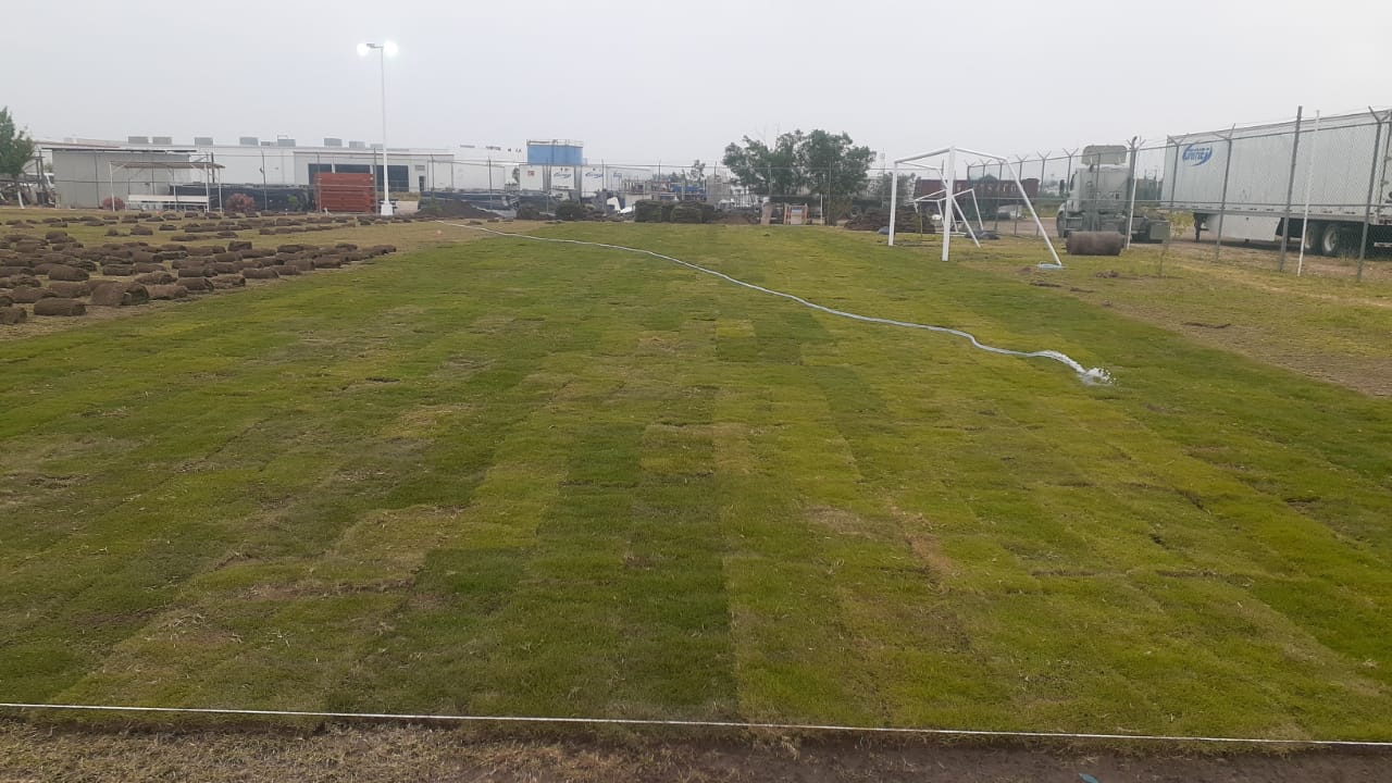 Evidencia Canchas 5